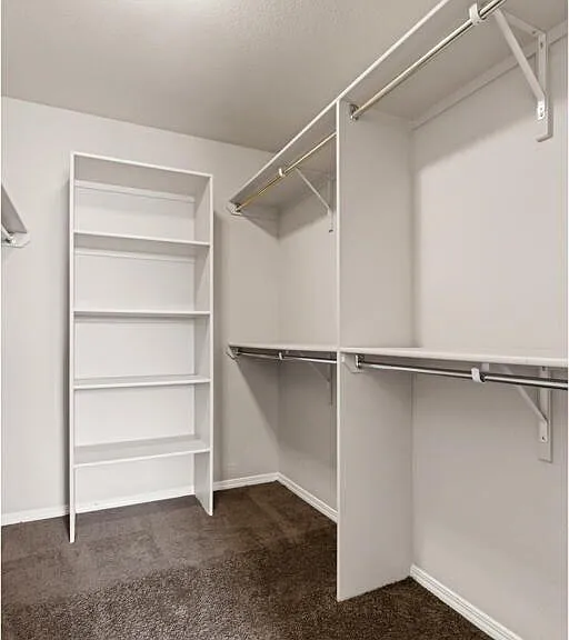 2047 Dreamlight Pl — Photo 37