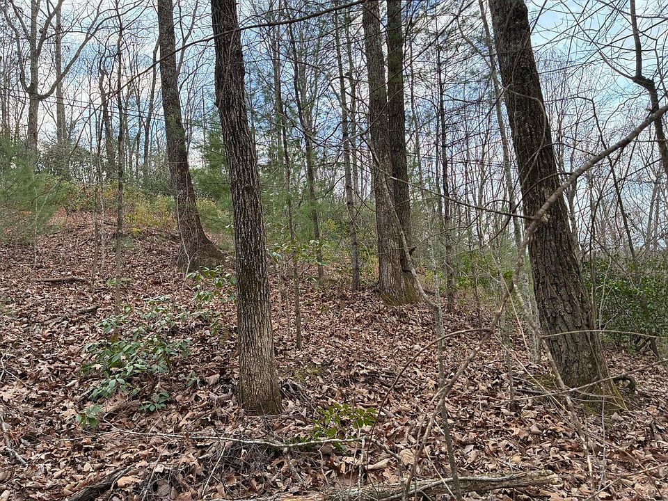 1st image of 0 Chestnut Mountain Rd
