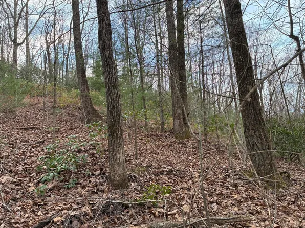 0 Chestnut Mountain Rd, Reliance, TN 37369