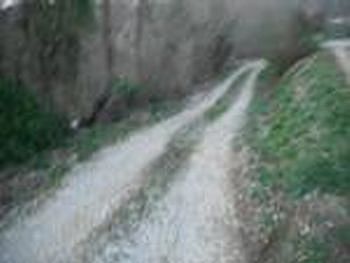 Photo of Mobile Home Lot