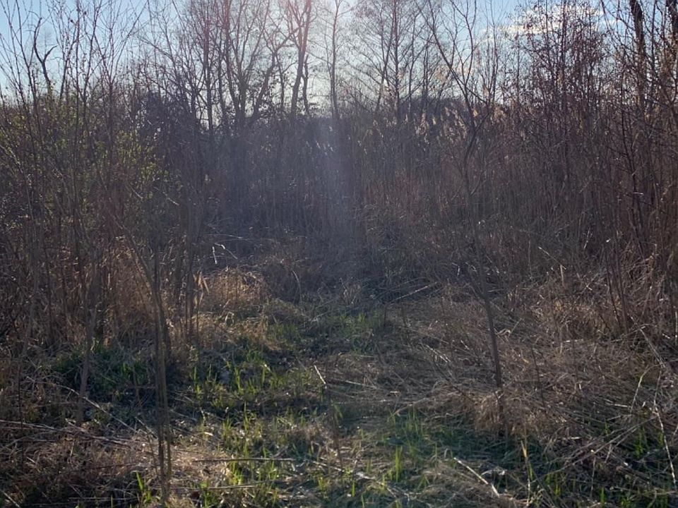 1st image of 13196 County Line Rd