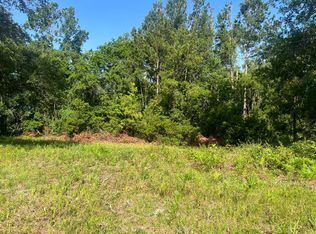 126 SW Aurora Way, Lake City, FL 32025