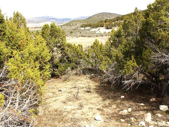 4th image of W Ctr #N