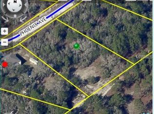 12064 Phoenix Ave, Weeki Wachee, FL 34614