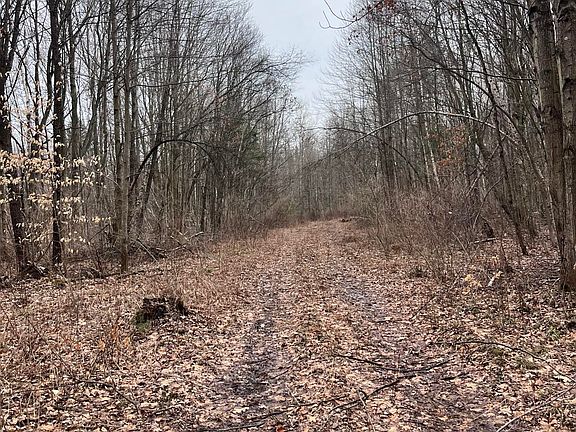 5th image of 0 Bryce Rd