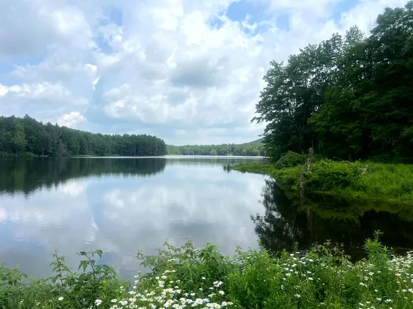 597 Bliven Coye Hill Rd Lot 2, Smyrna, NY 13464