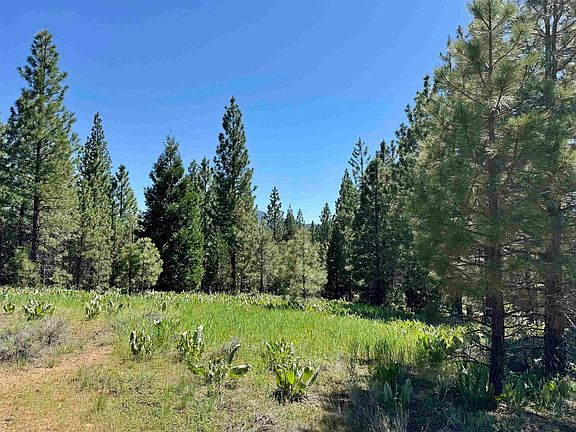 4th image of 288 Arrowleaf Rd