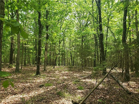 3rd image of 582 Hale Rd #6