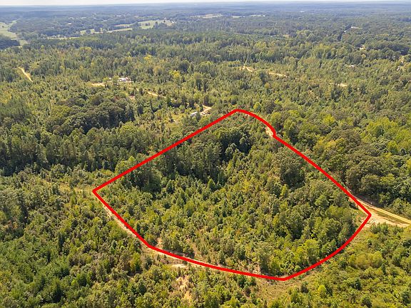 2nd image of 89 Hummingbird Lot 35