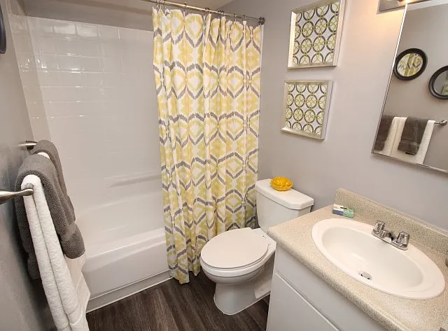 Apartments for Rent