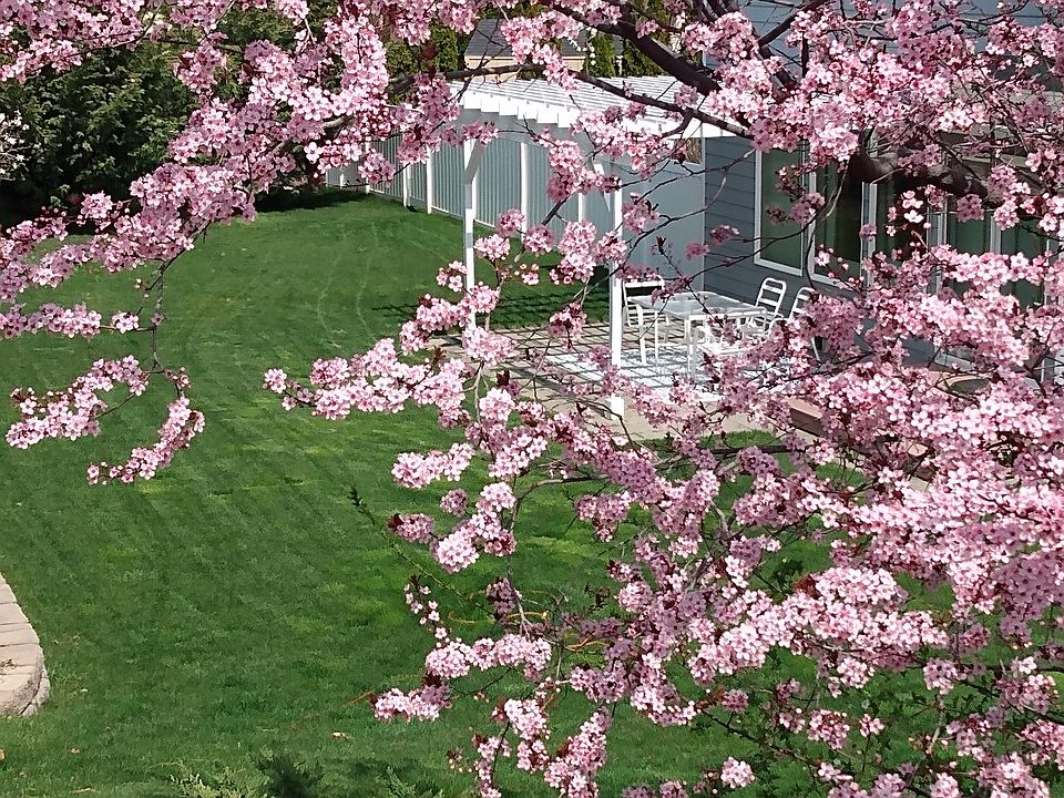 The relaxing takes place in the backyard. Patio set w umbrella, rocking chairs, grills.