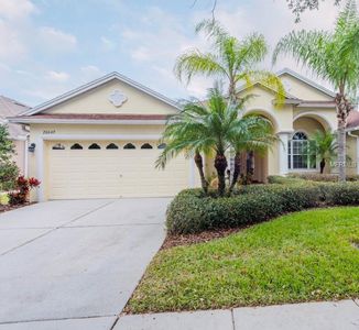 20649 Amanda Oak Ct, Land O Lakes, FL, 34638