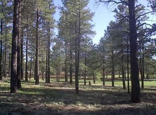 3585 S Lariat Loop, Flagstaff, AZ 86001
