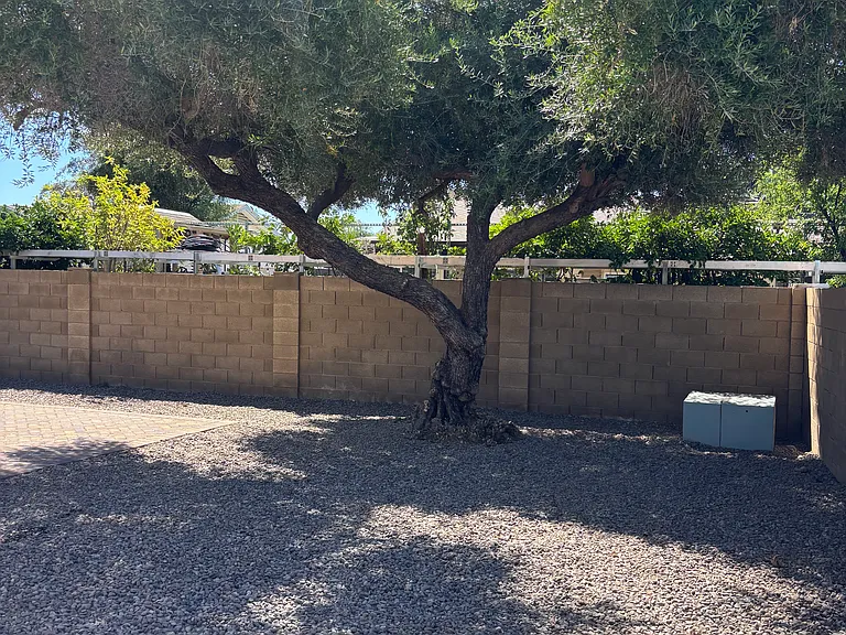 5001 W Carol Ave — Photo 15