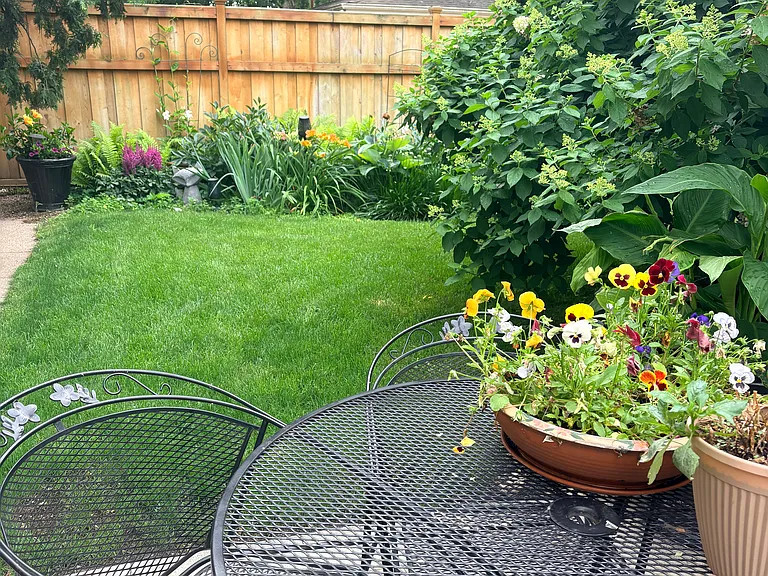Patio and back garden