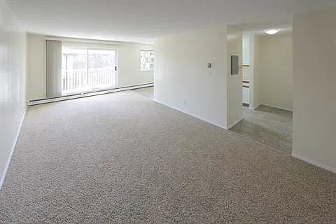 2 bed, 1.0 bath, 900 sqft, $1,350 — Photo 3