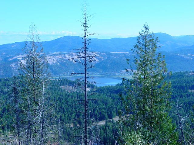 1st image of Black Hills Drive
