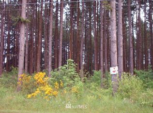 0 James Rd SW, Rochester, WA 98579