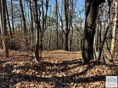 0 Warrington Ter, Collinsville, VA, 24078