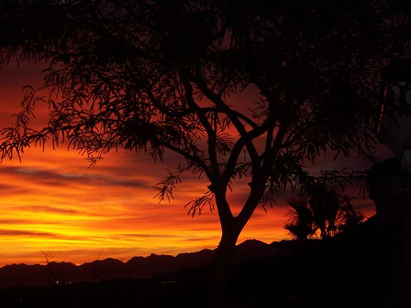 Sunrise on patio
