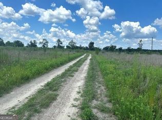 0 State Highway 298 Parcel 2, Vidalia, GA 30474