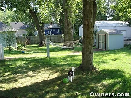Large 1/3 acre yard with shed
