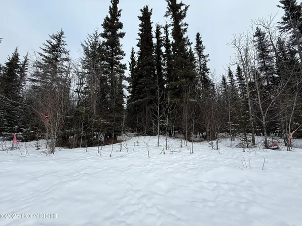 MILE .5 Old Edgerton, Kenny Lake, AK 99573