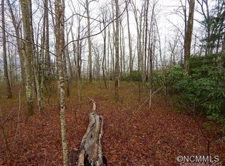 NULL-LO62 Panther Cv, Brevard, NC 28712