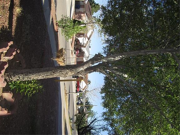 3rd image of 3315 Arroyos Pl