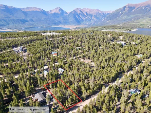 776 Birch Dr, Twin Lakes, CO 81251