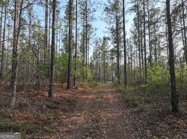 195 County Line Rd, Lumpkin, GA 31815