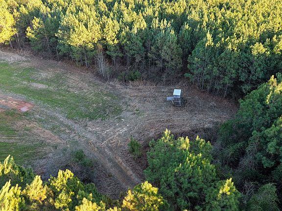 Dji 20260223065243 0223 D