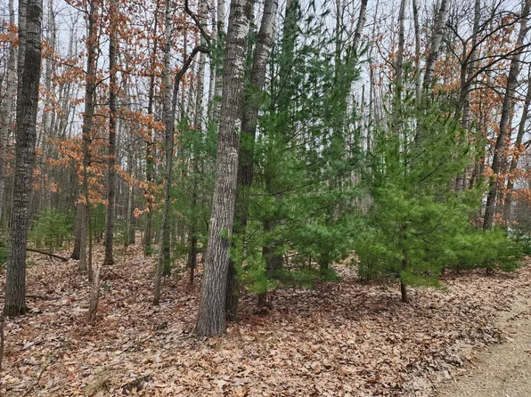 9090 Longview Dr, Stanwood, MI 49346