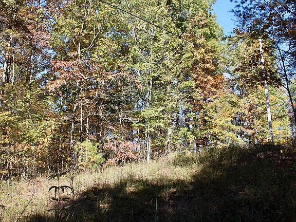 2nd image of 2577 Hazel Patch Rd