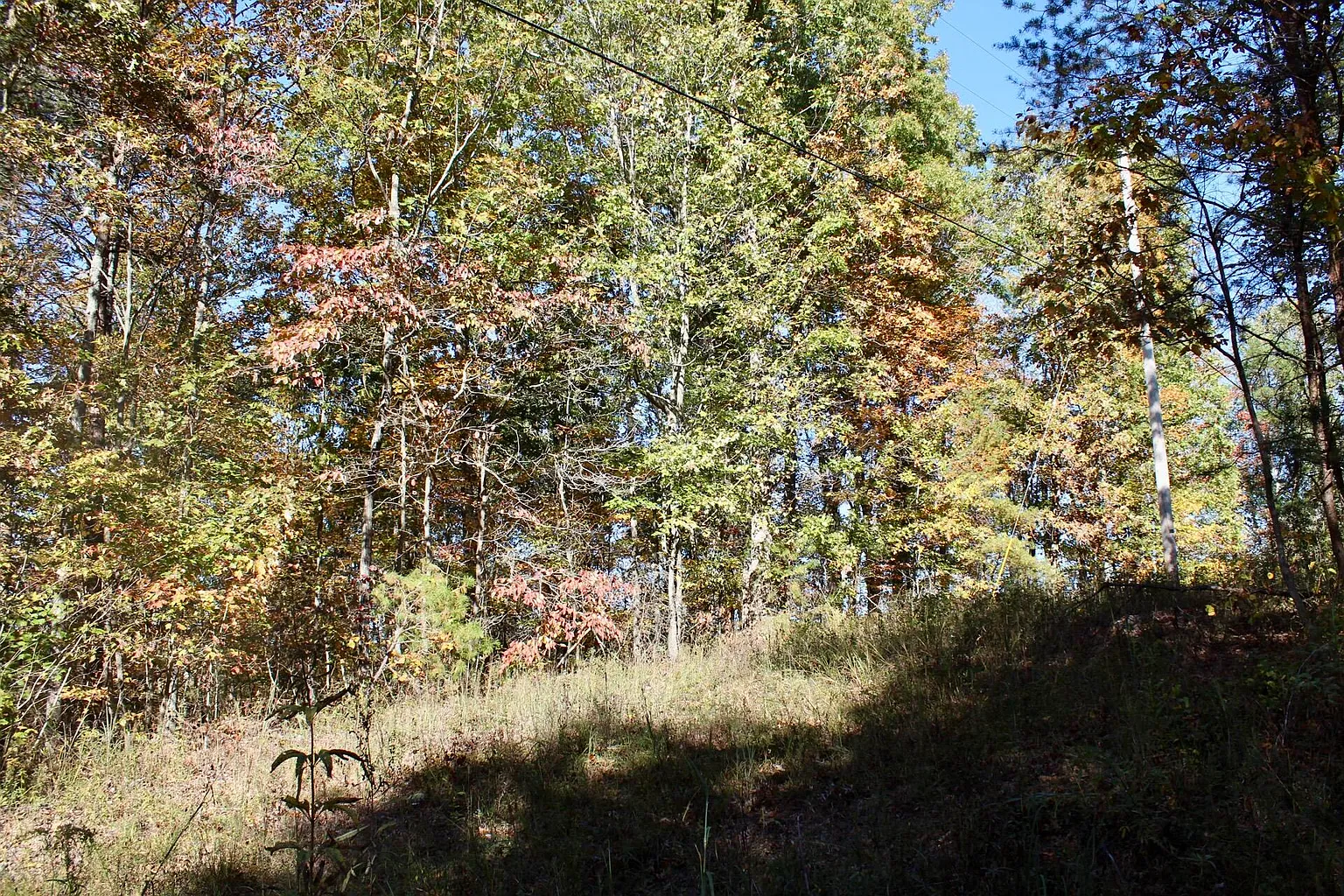 2577 Hazel Patch Rd photo 1