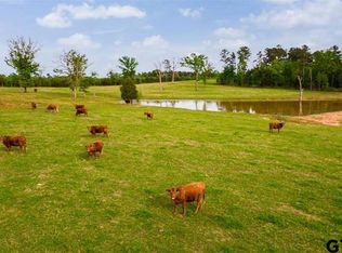 Fm 2685, Gilmer, TX 75644