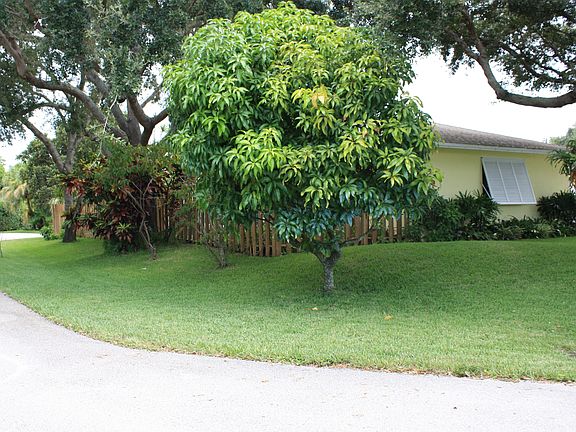 3rd image of 9675 Ilex Cir N