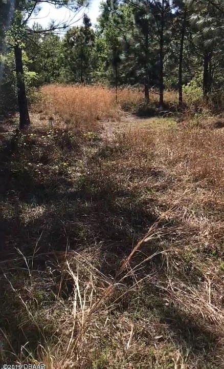 1st image of 106 Honey Ln
