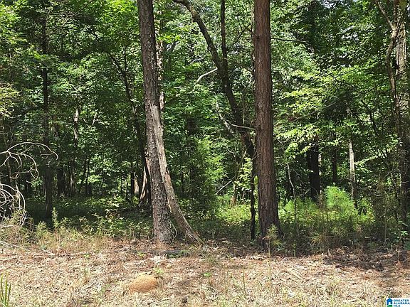 5th image of 4875 War Eagle Dr