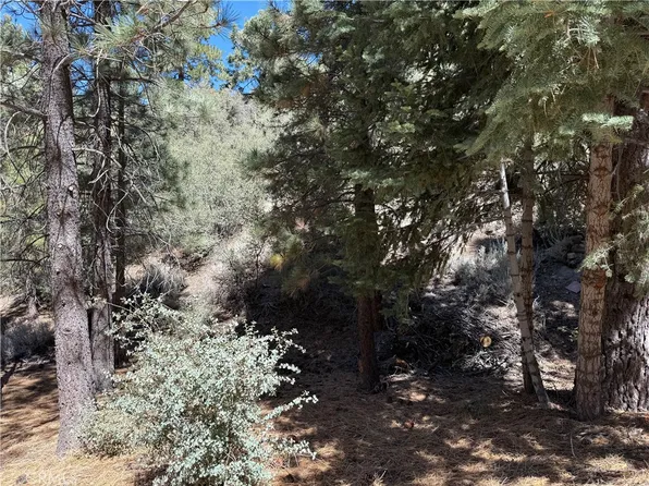 1420 Linden Dr #65, Pine Mountain Club, CA 93222