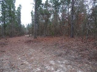 4467 Etterlee Rd, Hephzibah, GA 30815