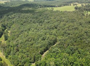 881 Driftwood Dr, Pineville, AR 72566