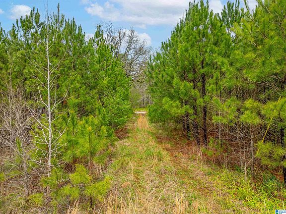2nd image of 0 State Highway 278 #1