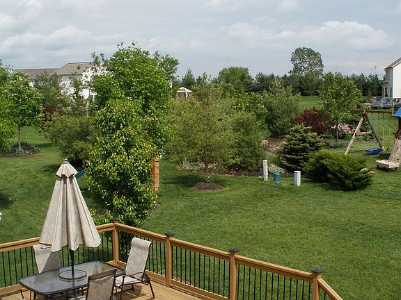 Backyard View