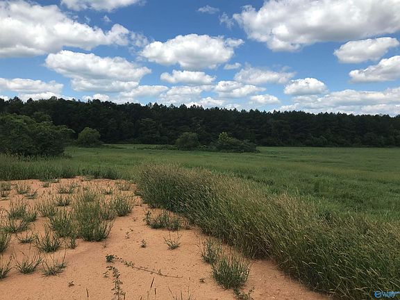 4th image of 2710 County Road 26