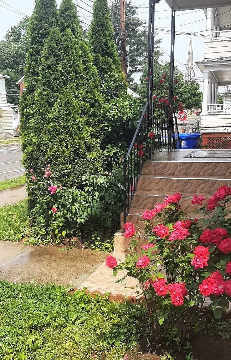 2 bed, 900 sqft, $1,850 — Photo 3