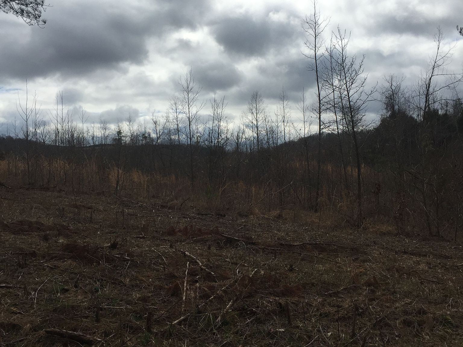 797 Cottonport Ferry Road, Decatur, TN 37322 Zillow