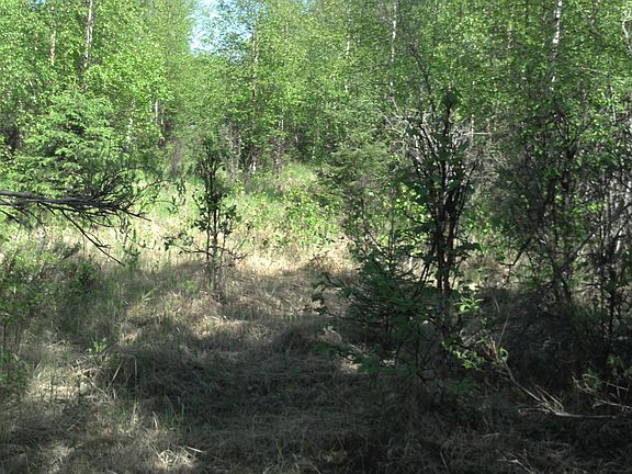 2nd image of 10723 W Forest Lake Dr