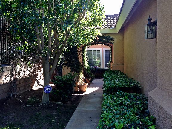 Garden walkway to front door
