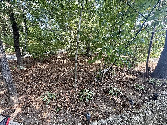5th image of 231 Hideaway Ln